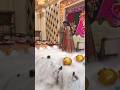 Ring ceremony 💍💍#trending #youtubeshorts  #viral #viralvideo #krishna #weding #shadi #shadi #event