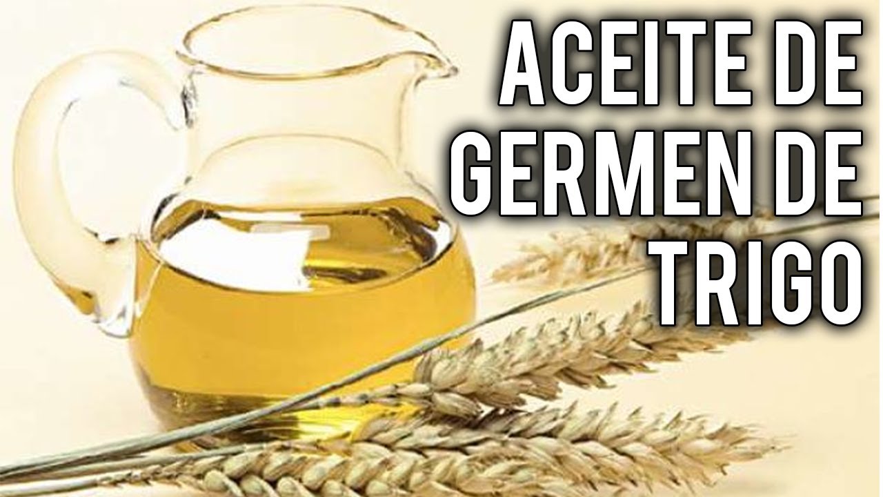 como hacer aceite de germen de trigo casero