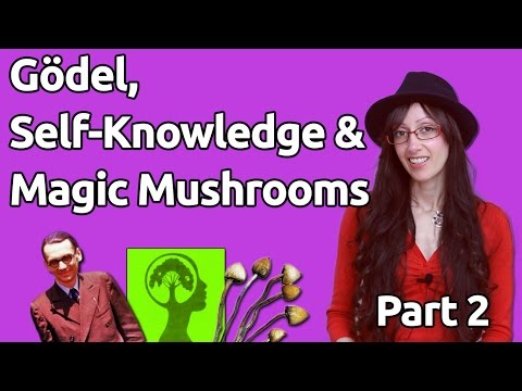 (2) Gödel, Self-Knowledge & Magic Mushrooms – Transcending Stuff to Know Stuff