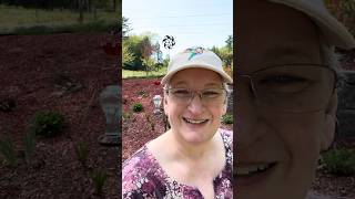 Hummingbirds are so fast!