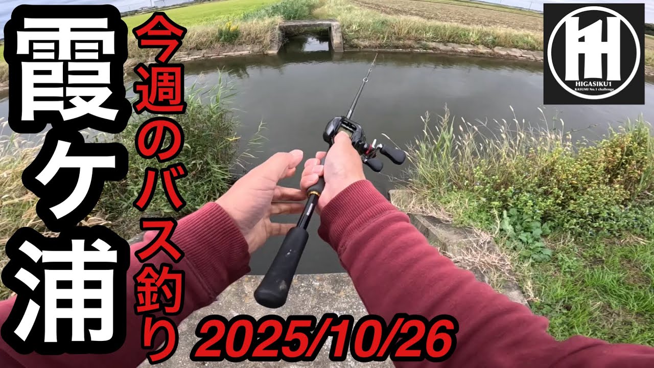 バス釣り今週の霞ヶ浦2025年10月26日