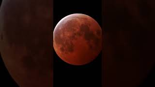 We Rise Together 🌙 | Lunar Eclipse Over Wisconsin