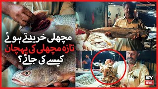 How to Choose Fresh Fish | ARY Stories