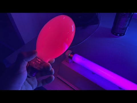 Vídeo: O que é um tubo fluorescente t8?