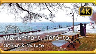 Waterfront of Toronto, Canada  Wave & Lake Ambience  relaxing sound 4K study work & sleep