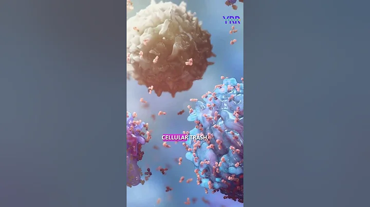 Why Your Brain is "Self-Eating" Right Now?