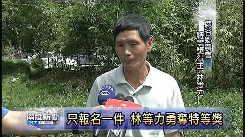 南投新闻 鹿谷特等奖得主林等力 - 天天要闻