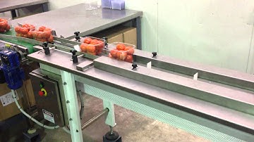 Emrich - PFM Hurricane Servo Horizontal Flow Wrapper + Auto Infeed - Tomato Trays