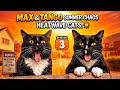 MAX &amp; TANGO: Summer Chaos ☀️🐱 | Episode 3 – Heatwave Survival Challenge! 🔥💦