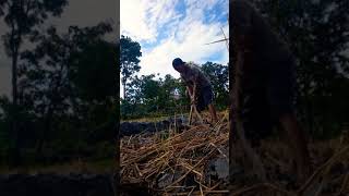 Download Lagu Story Wa Lakon opo to ron ron 🤣 MP3