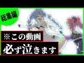 【総集編】ホロライブを知ってる人は絶対に見て欲しい最高のぺこヴィヴィ物語〔ホロライブ／切り抜き／兎田ぺこら／綺々羅々ヴィヴィ／ホロ鯖マイクラ／ホロライブマイクラ〕
