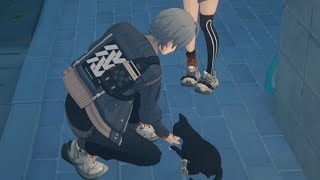 Zenless Zone Zero Leaked File Cat Petting