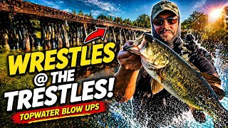 Topwater EXPLOSIONS Under the Train Trestles! (Chug Bug Smash) 🎣💥
