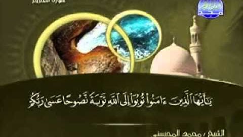 سورة التحريم كاملة الشيخ محمد المحيسني