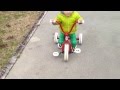 三輪車練習中 practice tricycle
