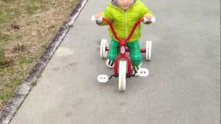 三輪車練習中 practice tricycle