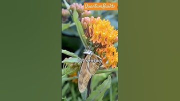 Implementation of Internet of Things (IoT) sensors and smart technologies in building systems.