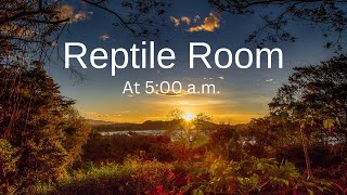 Visit my Reptile Room at 5:00 a.m.