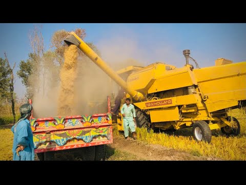 Newholland 8070 for