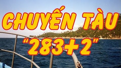 Chuyến Tàu “283+2” (Vưu Văn Tâm) | Văn Chương Miền Nam