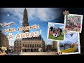 Vlog la foire au pique nique 