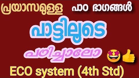 4th std EVS ECO system...  Simple and easy tips for learning