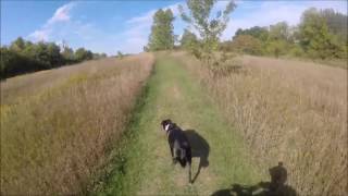 Haas Park To Bender Park 09 04 2016