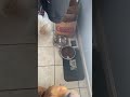 LOOK WHO WANTS WATER