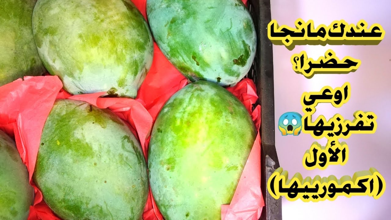 طريقة (كمر) المنجا الخضرا بكل سهولة ❗اوعي تغلطي وتفرزيها خضرا 😱 اكمريها هتبقى زبدة في يومين بس