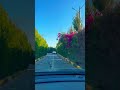 #garden #gardening #tour #lifeisbutadream #car