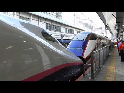 E2系1000番台+E3系1000番台　やまびこ・つばさ127号仙台・山形行き　東京駅到着