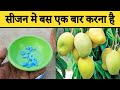 आम फलों से भर जायेगा | Best Fertilizer For Mango Tree | Mango Cultivation | Home Garden