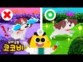 동물병원 모음집🐶🩺아픈 동물을 치료해요! 수의사, 구조대 | 어린이 동요 Kids Song | 꼬마공룡 코코비