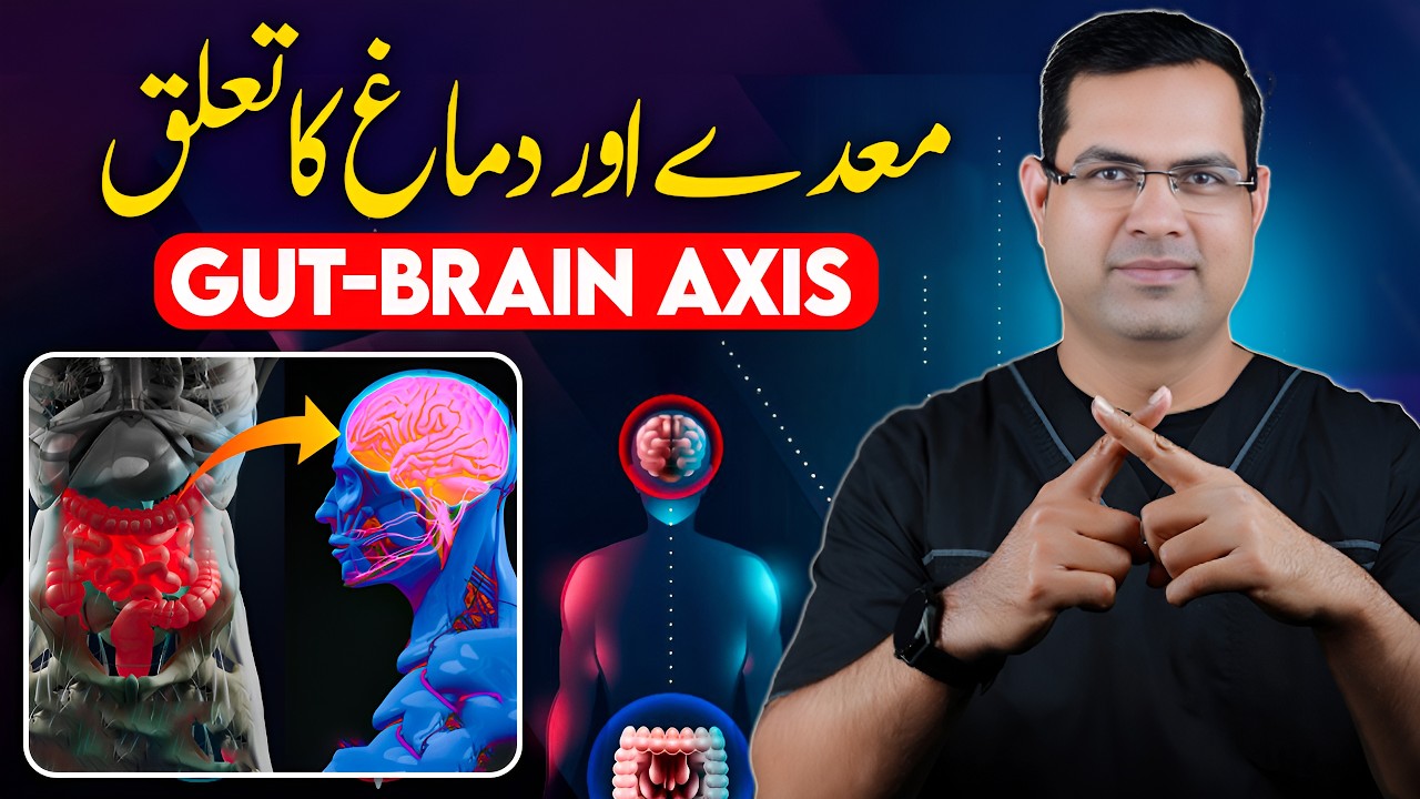 The Hidden Link Between Gut Health and Mental Health (Gut-Brain Axis ...