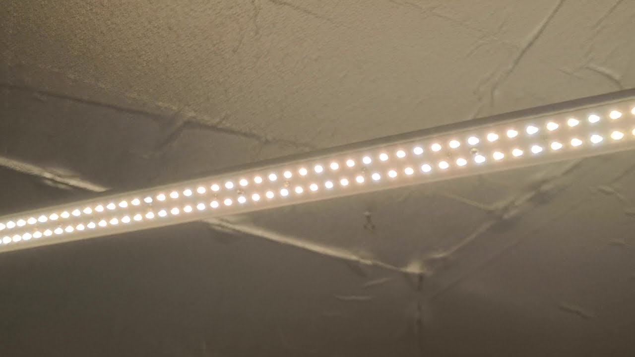 2channel Sunbar V2 led grow light bar with Samsung 301b and Cree Xpe ...