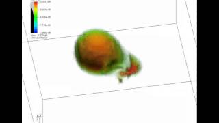 Celebrity Mass Transfer Between Binary Stars -- Simulation Result Using AstroBEAR Wealth
