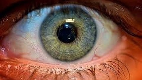 EyeLock - Leitor de Iris Nano NXT