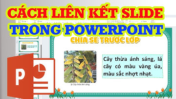Cách Liên Kết Slide PowerPoint Để Tạo Trình Chiếu Liên Tục