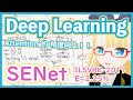 【深層学習】SENet - 「圧縮興奮機構」による性能向上【ディープラーニングの世界 vol. 19】#082 #VRアカデミア #DeepLearning