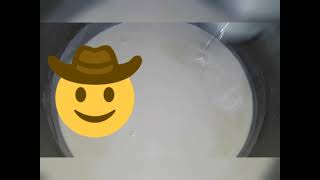 Bouillie De Maïs À La Façon Du Nord Cameroun