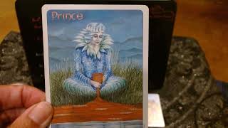 Tarot Astrology: The Decans of the Court Cards PART II