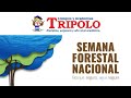 Semana Nacional Forestal