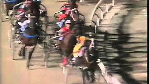 Harness Racing,Albion Park-21/04/1993 Inter-Domini...