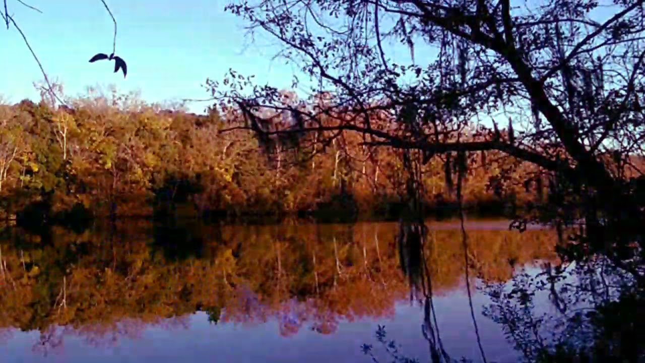 Statesboro Blues Flips Senate Blue - Georgia saves itself: music by the Allman Brothers Band