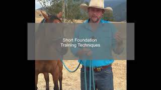 Preview of new training videos added to Mark Langley Membership