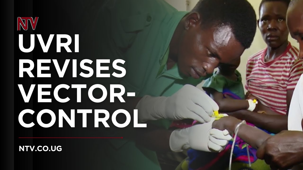 UVRI, AU experts revise vector control strategies to tackle malaria