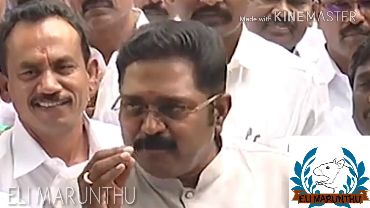 TTV Speech 18 MLA judgement