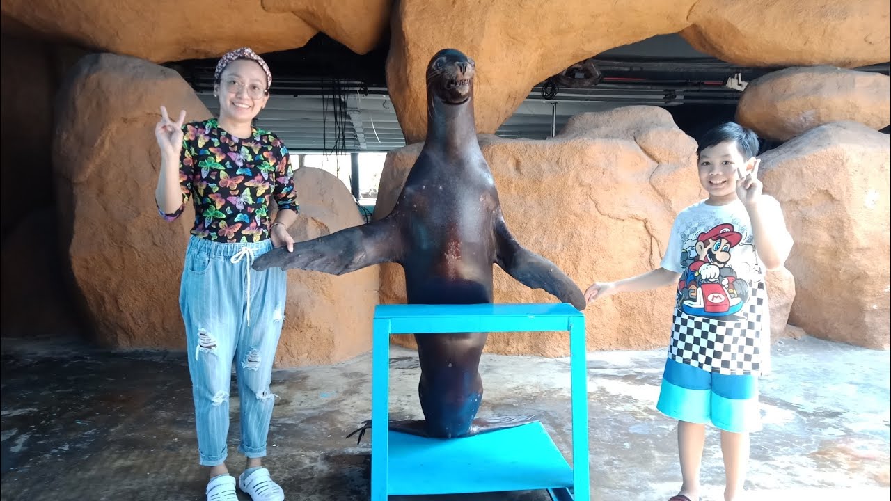 BIRDS AND SEA LION SHOW || MANILA OCEAN PARK