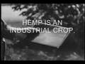 Ron paul  hemp for american farmers