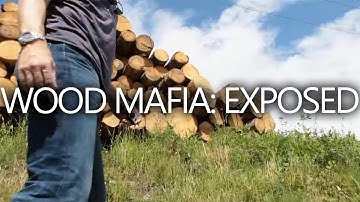 WOOD - A documentary about the Wood Mafia and Europe
